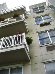 Water staining and algae growth on EIFS façade